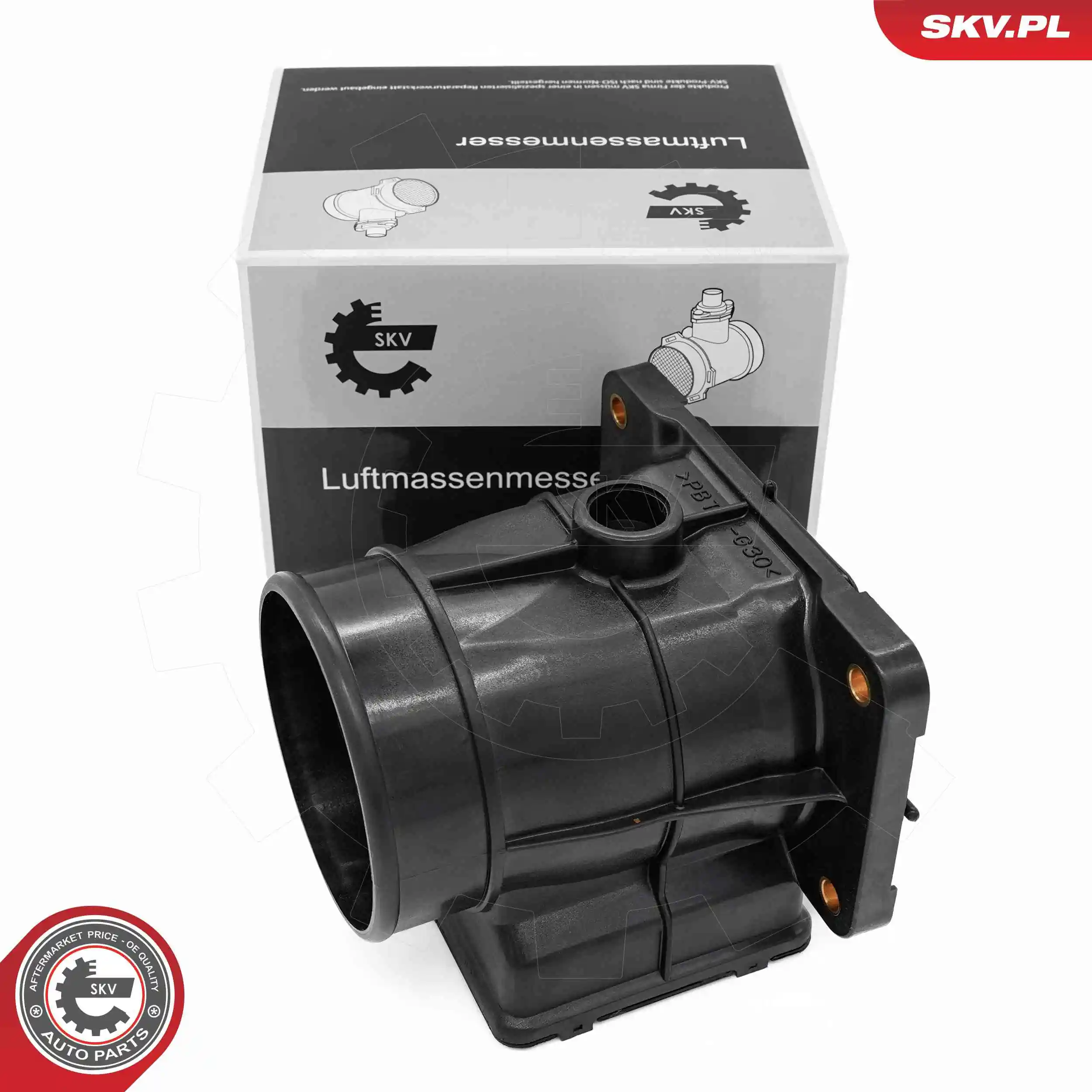 Mass Air Flow Sensor